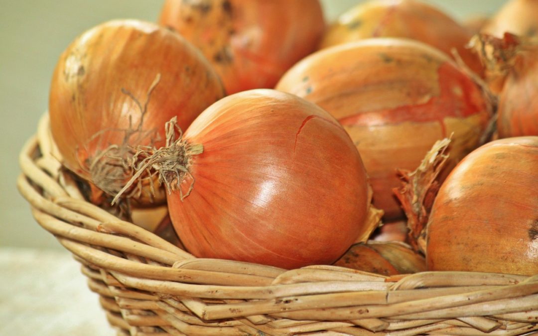 Foire aux oignons Bienne 2020